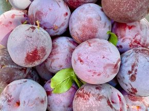 348 Dowling Blvd, San Leandro CA 94577