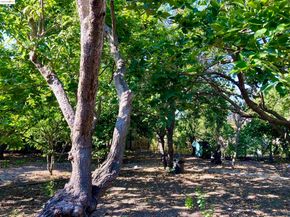 348 Dowling Blvd, San Leandro CA 94577