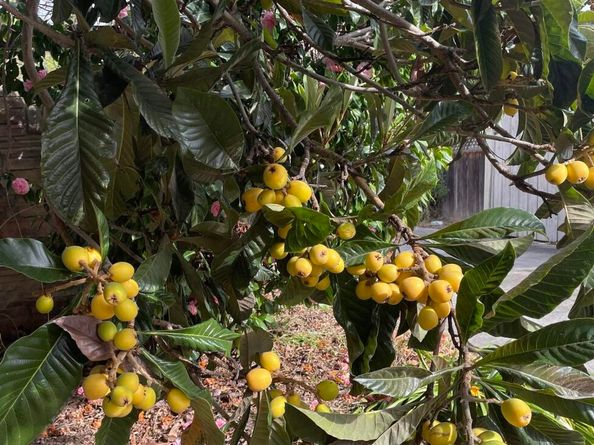 348 Dowling Blvd, San Leandro CA 94577