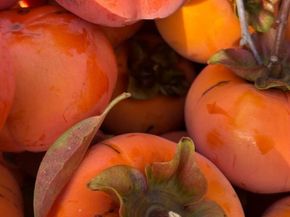 348 Dowling Blvd, San Leandro CA 94577