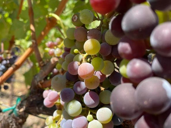 348 Dowling Blvd, San Leandro CA 94577