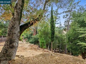 17 Muth Drive, Orinda CA 94563
