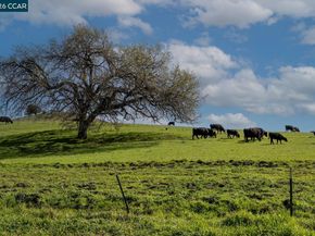 3139 Deerpark Dr, Walnut Creek CA 94598