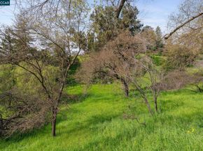 1315 El Curtola, Lafayette CA 94549