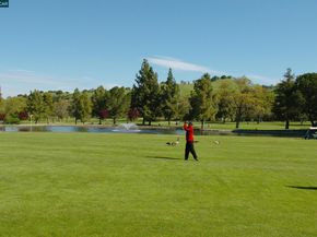 2601 Pine Knoll Dr 8, Walnut Creek CA 94595