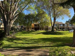 3211 Phoenix Ln, Alameda CA 94502