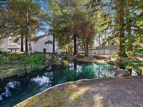 1050 Summershore Ct, San Jose CA 95122
