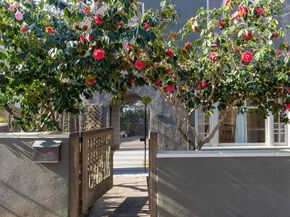 1106 Cragmont Ave, Berkeley CA 94708