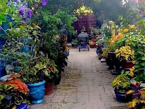 677 Elm Street, San Jose CA 95126