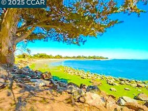 1305 Webster St C102, Alameda CA 94501