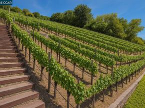 131 Wittenham Ct, San Ramon CA 94583
