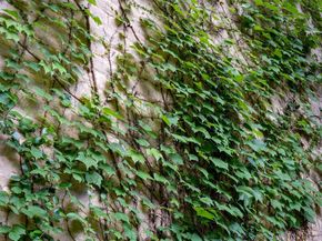 4030  Buena Vista Street , Dallas Texas 75204