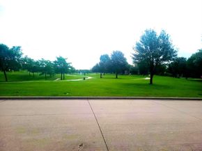 1229  Ducks Landing , Frisco Texas 75033