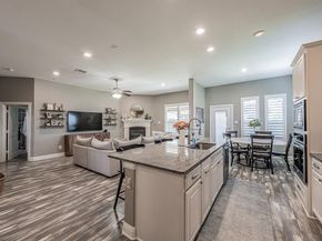 10713  Fort Stockton  , McKinney Texas 75071