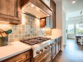 462  Infinito Drive , Sunnyvale Texas 75182