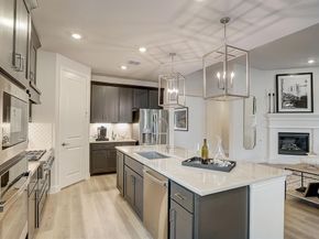 411  Chatham Street , Oak Point Texas 75068