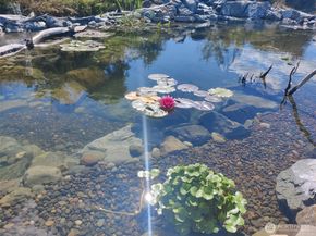 8017 64th Street SE, Snohomish WA 98290