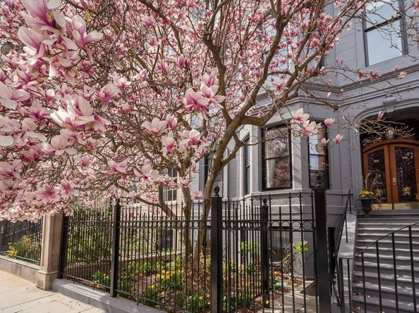 168 Beacon St 1, Boston MA 02116
