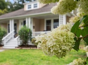 44 Norfolk Street, Needham MA 02492