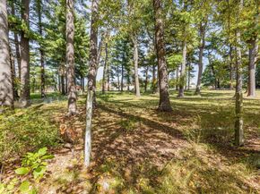 66 Gould Street, Walpole MA 02081