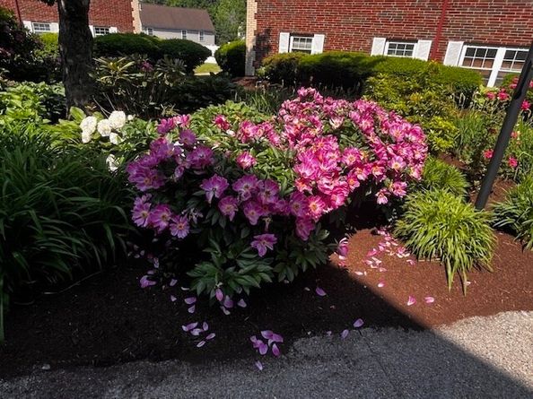 15 Cass Street 3, Boston MA 02132
