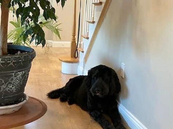 19 Harbourside Rd 19, Quincy MA 02171