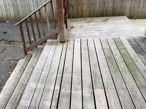 45 Msgr Patrick J Lydon Way, Boston MA 02124