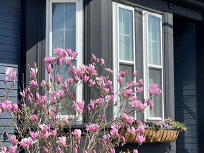 198 Byron St, Boston MA 02128