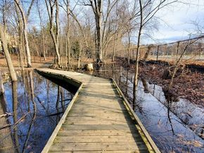 131 Sewall 61, Brookline MA 02446