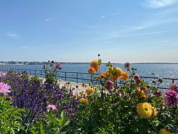 33 Maplewood Avenue 310, Gloucester MA 01930