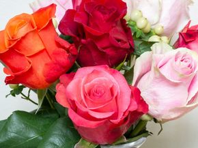 96 Indian Hill Road, Worcester MA 01606