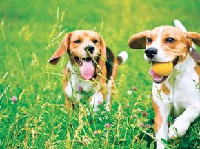 19 Fairway Lane 53, Lynnfield MA 01940