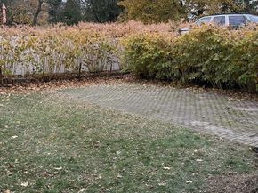 49 Hawthorn St, Newton MA 02458