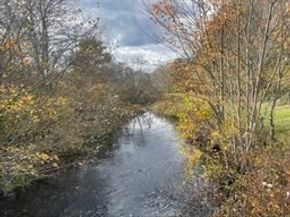 50 Cross St & 0 Cross (Rear), Lakeville MA 02347