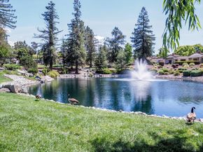 7774 Beltane Drive, San Jose CA 95135