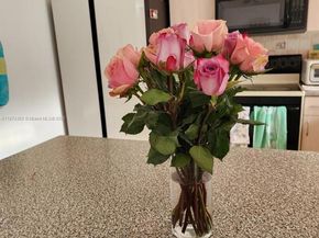 11060 SW 143rd Pl, Miami FL 33186