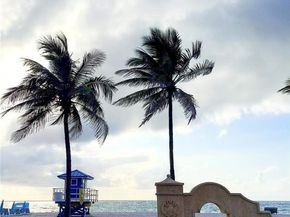 1919 Van Buren St 505A, Hollywood FL 33020