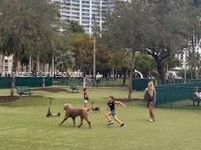 1750 N Bayshore Dr 1714, Miami FL 33132