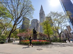 66 Madison Avenue 9L, New York NY 10016
