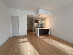 21-45 44th Drive 1D, Queens NY 11101