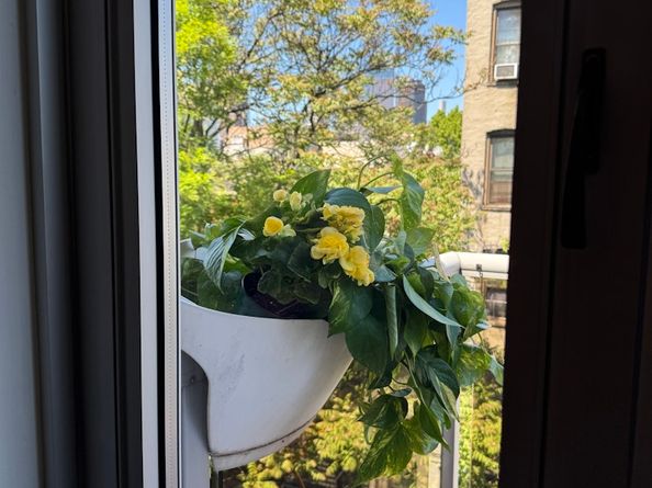199 Huron Street 4D, Brooklyn NY 11222