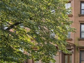 130 Greene Avenue, Brooklyn NY 11238