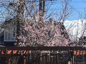 1058 Garfield Street, Denver CO 80206