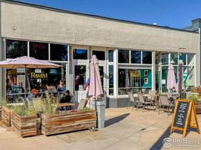 1056 S Pennsylvania Street, Denver CO 80209