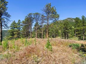 53 Canyon Pines Drive, Golden CO 80403