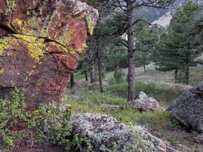 53 Canyon Pines Drive, Golden CO 80403