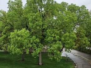 7309 W Hampden Avenue 4304, Lakewood CO 80227