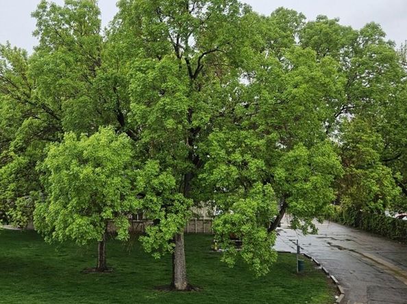 7309 W Hampden Avenue 4304, Lakewood CO 80227