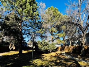 3061 W 92nd Avenue 1F, Westminster CO 80031