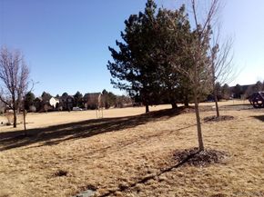 12627 James Point, Broomfield CO 80020